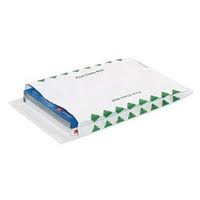 Expandable Tyvek® Envelopes 