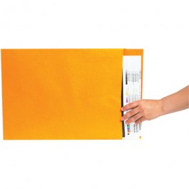 22" x 27"  Kraft Jumbo  Envelopes