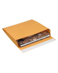 10" x 15" x 2"  Kraft Expandable  Self- Seal  Envelopes