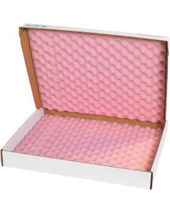 22" x 18" x 2 3/4"  Anti- Static  Foam  Shippers