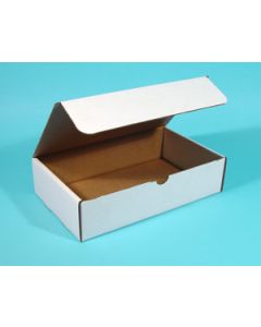 19 1/8" x 9 1/8" x 2 3/16" Deluxe Literature Mailers