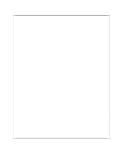 8 1/2" x 11"  White Rectangle  Laser  Labels -  Master  Case